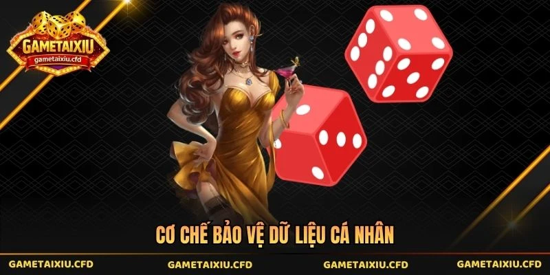 Cơ chế bảo vệ dữ liệu cá nhân