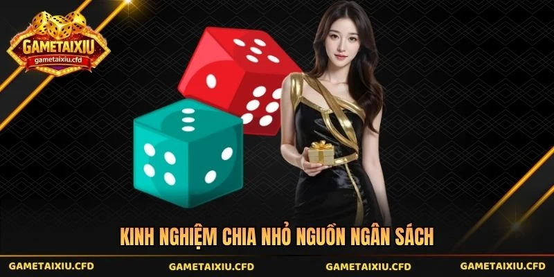 Kinh nghiệm chia nhỏ nguồn ngân sách