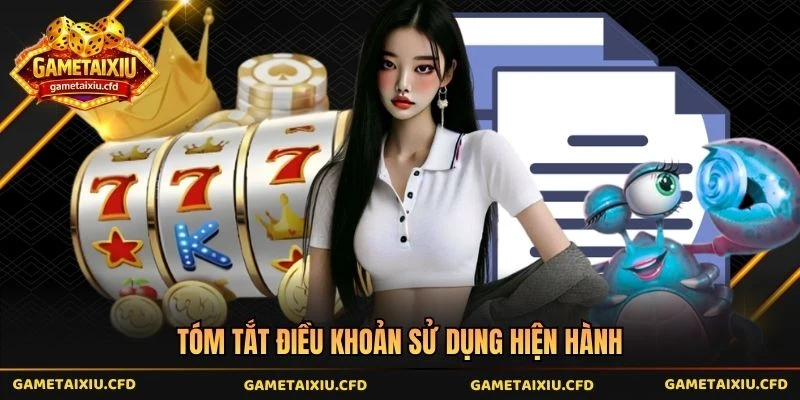 Tóm tắt điều khoản sử dụng hiện hành