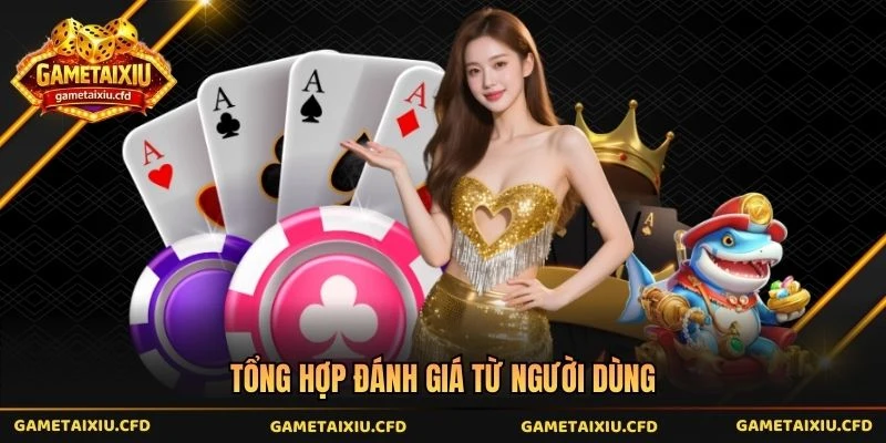 Tổng hợp đánh giá từ người dùng