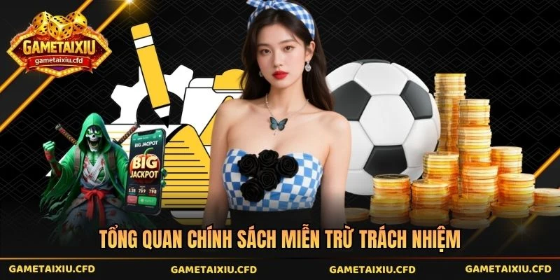 Tổng quan chính sách miễn trừ trách nhiệm