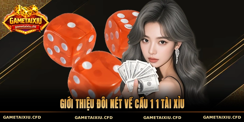 Giới thiệu đôi nét về cầu 1 1 tài xỉu